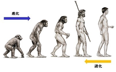 進化の過程